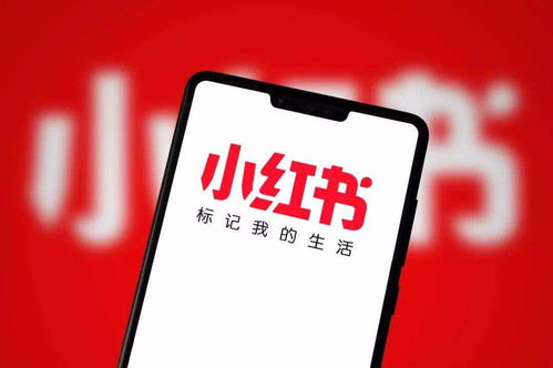 小紅書估值破百億,花旗高管任cfo,上市將近小紅書該咋看